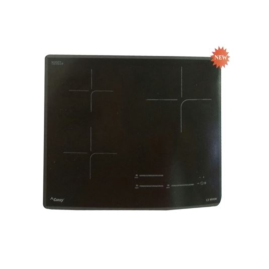 Bếp từ Canzy CZ 999DH