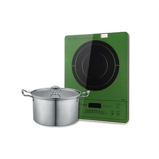 Bếp từ Taka I1V