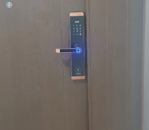 Khóa vân tay Kassler KL-600- MÀU ĐỒNG-2 Khóa vân tay Kassler KL-600- MÀU ĐỒNG-2