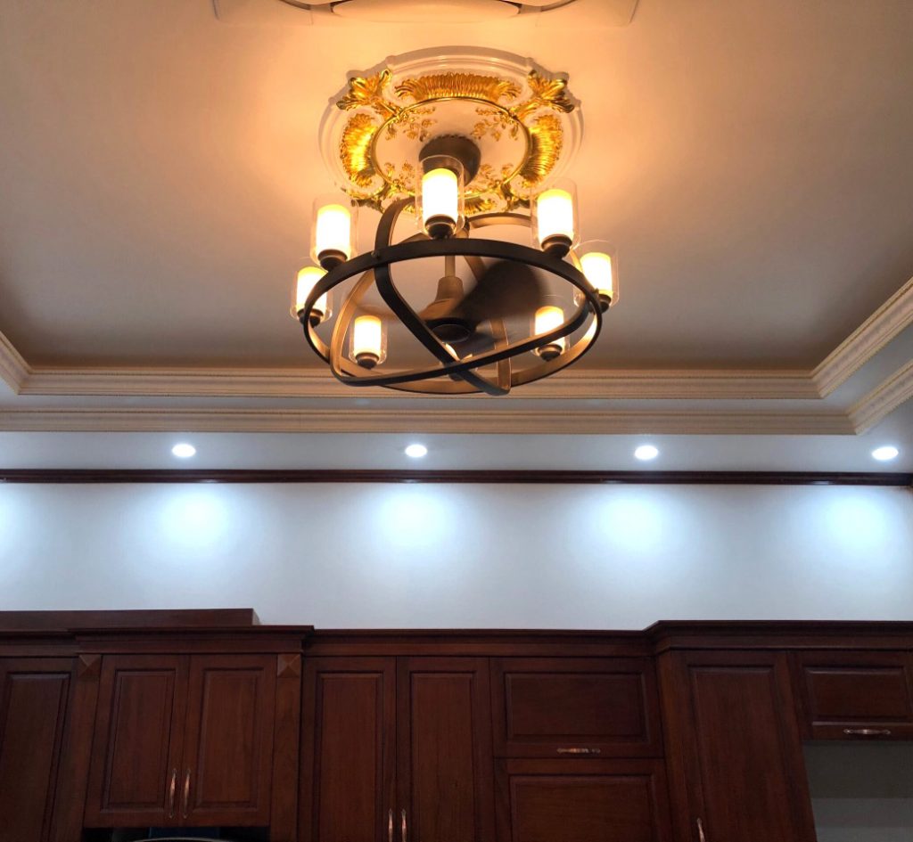 Quạt trần CROWN độc đáo-3 Quạt trần CROWN độc đáo-3