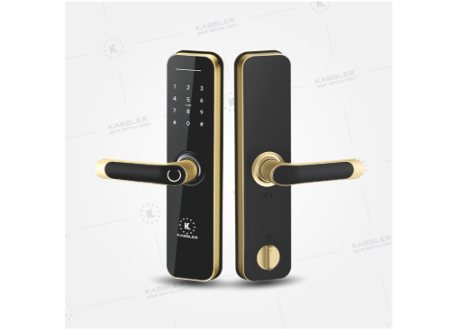 Khóa vân tay Kassler Kl-668 App wifi Gold