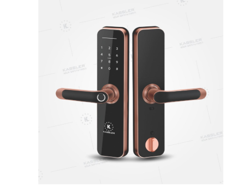 Khóa vân tay Kassler Kl-668 App wifi Bronze