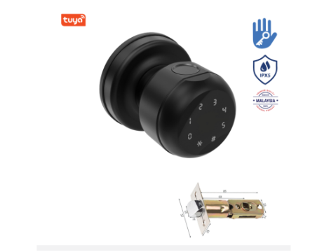 Khoá tay nắm tròn vân tay Avolock AT-104-B App wifi