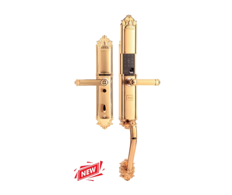 Khóa vân tay đại sảnh tân cổ Demax EL821 Gold App Wifi - Của Đức