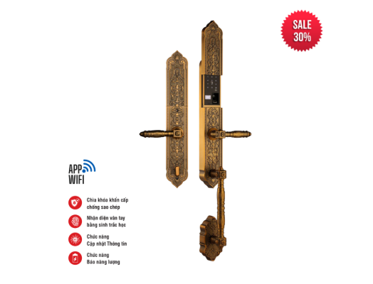 Khóa điện tử tân cổ Faster FS009FGB BRASS Màu Đồng