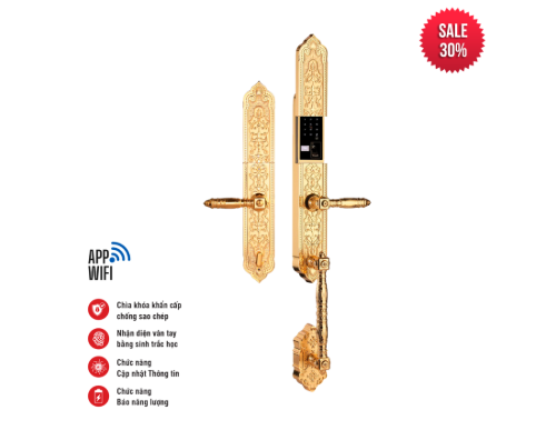 Khóa thông minh tân cổ điển Faster FS009F24K BRASS