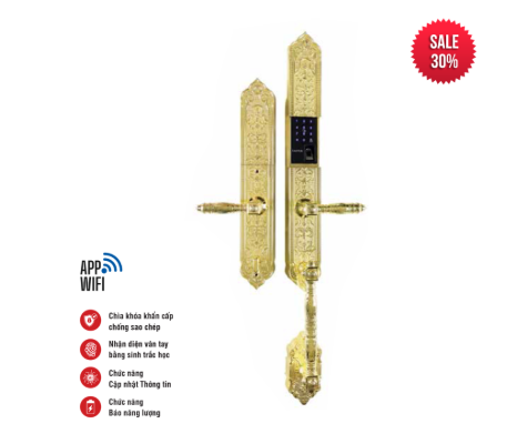 Khóa vân tay tân cổ Faster FS00924K BRASS Face ID