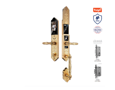 Khoá cửa tân cổ thông minh Avolock AC-999F-G Face Id
