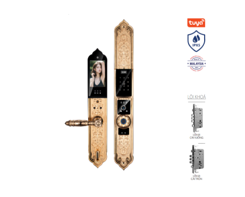 Khoá cửa vân tay tân cổ Avolock AC-996F-G thông minh có Face ID, App wifi