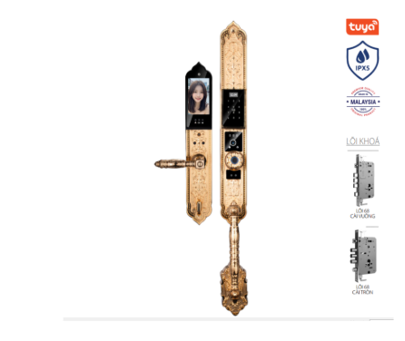 Khoá cửa tân cổ Avolock AC-997F-G thông minh có Face ID, App wifi